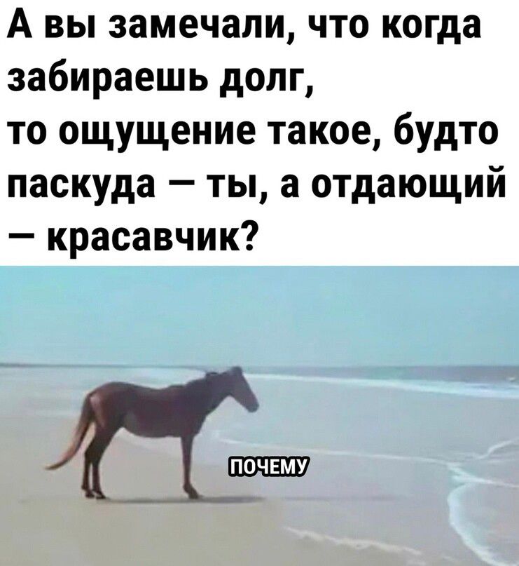 А вы замечали что когда забираешь долг то ощущение такое будто паскуда ты а отдающий красавчик ПЧЕМУ