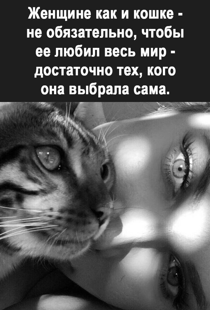 Женщине как и кошке не обязательно чтобы ее любил весь мир достаточно тех кого она выбрала сама