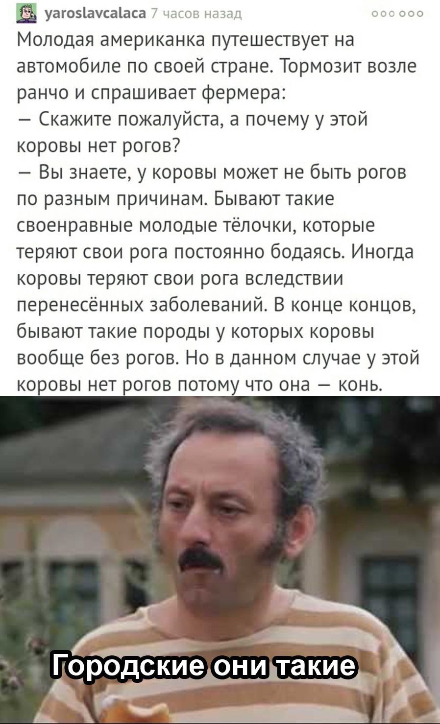 В уагозіаусаіаса Молодая американка путешествует на автомобиле по своей стране Тормозит возле ранчо и спрашивает фермера Скажите пожалуйста а почему у этой коровы нет рогов7 Вы знаете у коровы может не быть рогов по разным причинам Бывают такие своенравные молодые телочки которые теряют свои рога постоянно бодаясь Иногда коровы теряют свои рога вследствии перенесенных заболеваний В конце концов бы