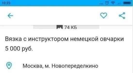 Ф ППКБ Вязка инструктором немецкой овчарки 5 000 руб Москва м Нампередепкино