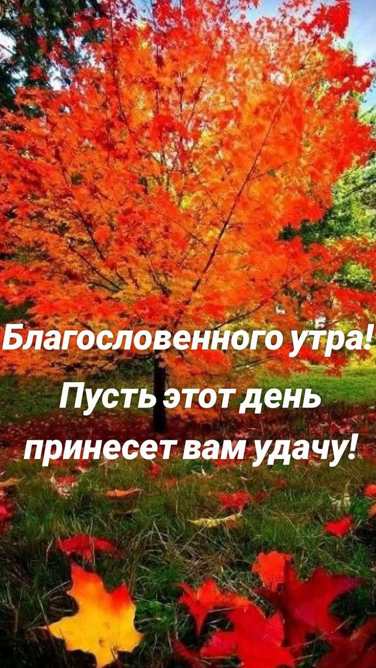 и чижд БлгігцсловенЯЁЁЬ Пусть этот де _прцндсет діамудаущ ада