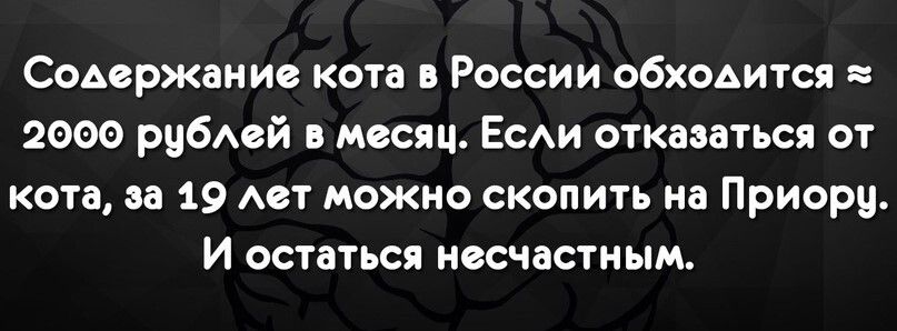 Содержания кота в России обходится 2000 рубсй месяц Есди отказаться от кота за 19 Авт можно скопить на Приорц И остаться несчастным