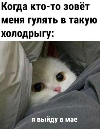 Когда кто то зовёт меня гулять в такую хоподрыгу я выйду в мае