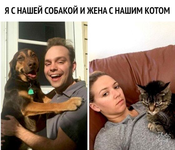 Я С НАШЕЙ СОБАКОЙ И ЖЕНА С НАШИМ КОТОМ