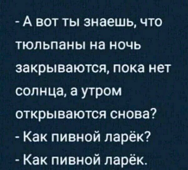 А вот ты знаешь что тюльпаны на ночь закрываются пока нет солнца а утром открываются снова Как пивной ларёк Как пивной ларёк