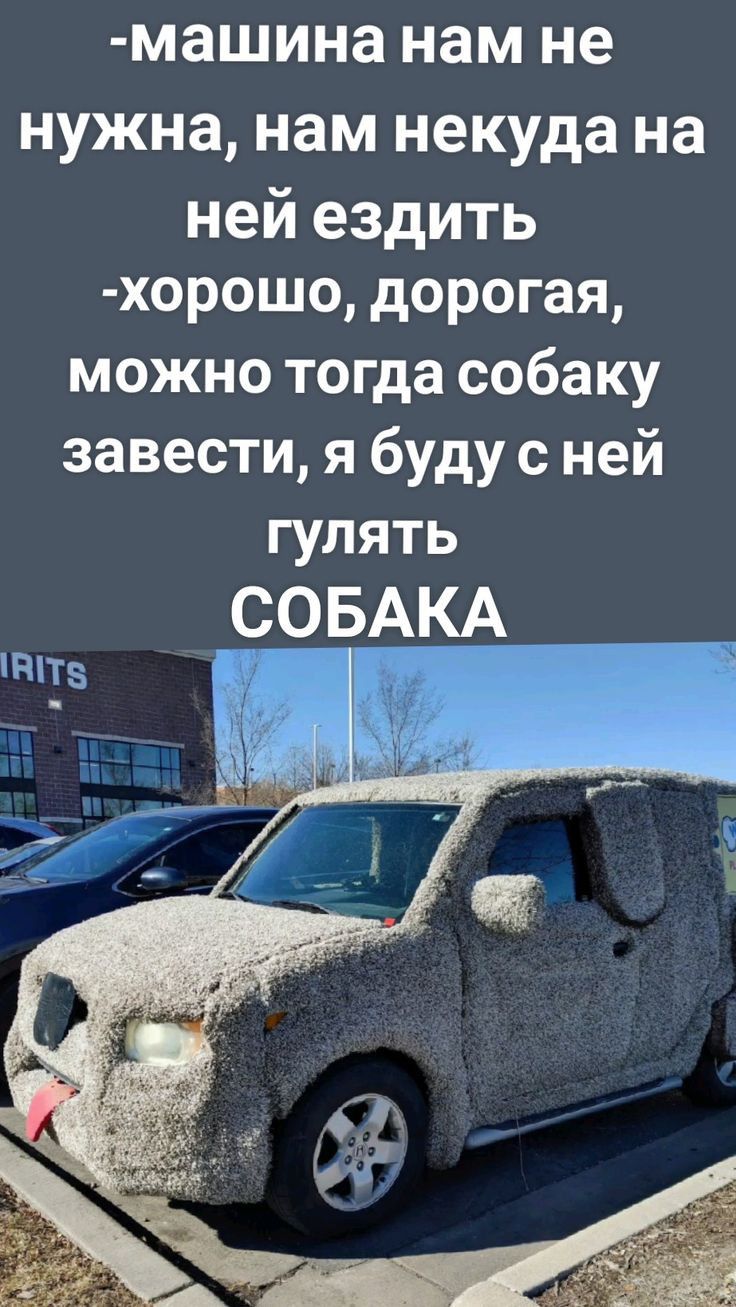 машина нам не нужна нам некуда на ней ездить хорошо дорогая можно тогда собаку завести я буду с ней гулять СОБАКА