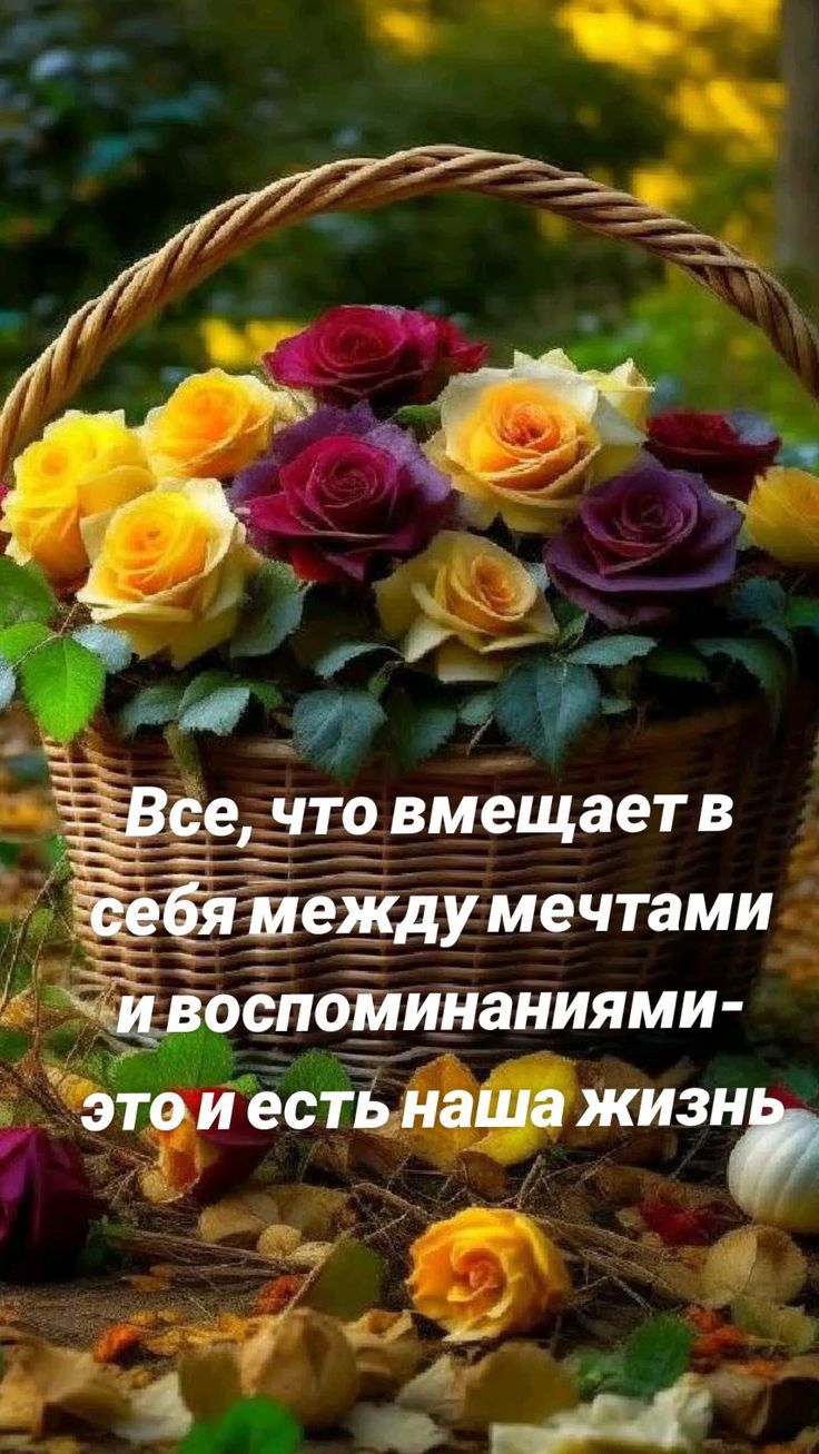 д 1_иежду мечтами