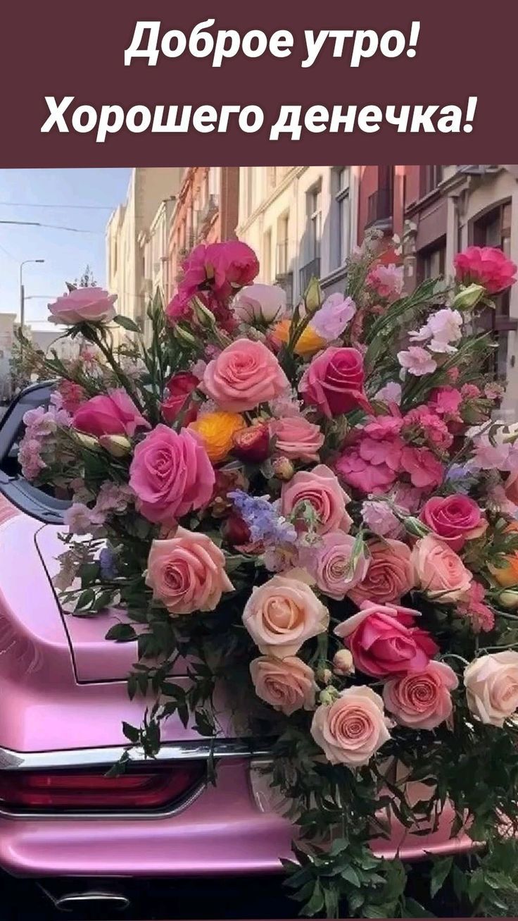 Доброе утро Хорошего денечка