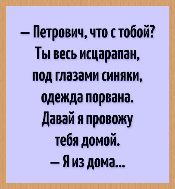 Петрович что стобой Ты весь исцарапан под глазами синяки одежда порвана давай я провожу тебя домой Я из дома