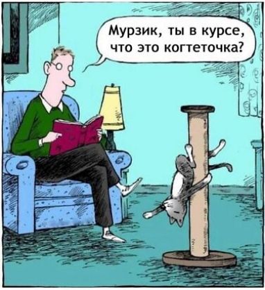 Мурзик ты в курсе что это когтеточка