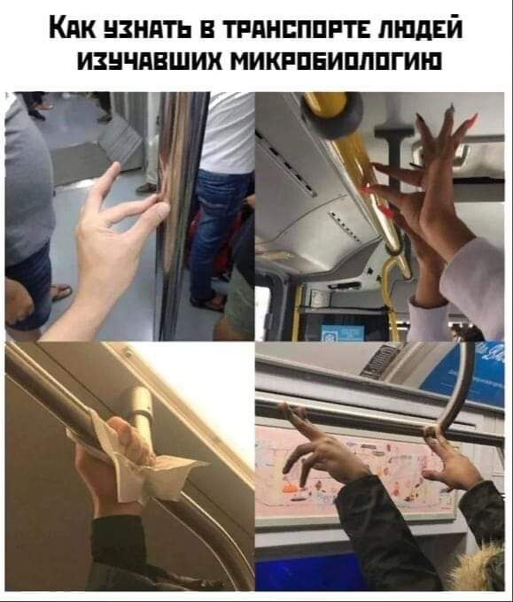 КПК ЦЗНПТЬ В ТРПНЕППРТЕ ЛЮДЕЙ ИЗЦЧПВШИХ МИКРПЕИППШИШ