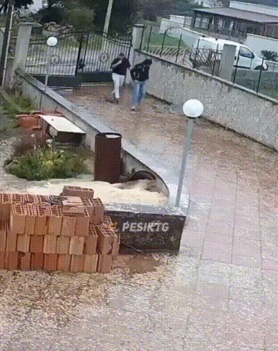 мыши 1571 типШЁШ