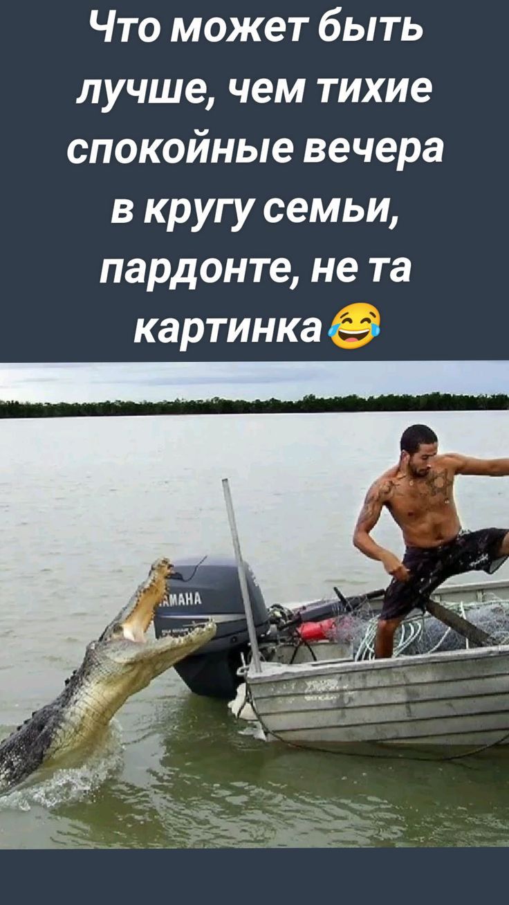 Что может быть лучше чем тихие спокойные вечера в кругу семьи пардонте не та картинка __