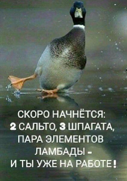 скоро НАЧНЁТСЯ 2 САЛЬТО шпдгдтд ПАРА элементов ЛАмвАды _ и ты УЖЕ НА ржд іі