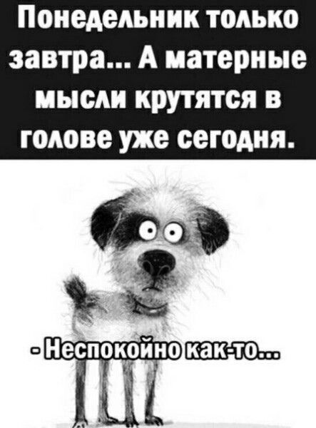 Понедельник только завтра А матерные мысли крутятся в голове уже сегодня