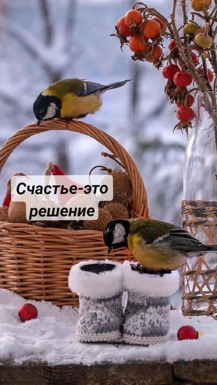 ёж __ Счастье это у решение_