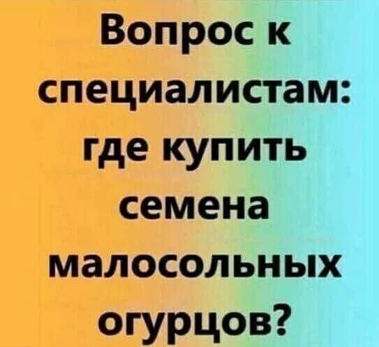 Вопрос к специалистам где купить семена малосольных огурцов