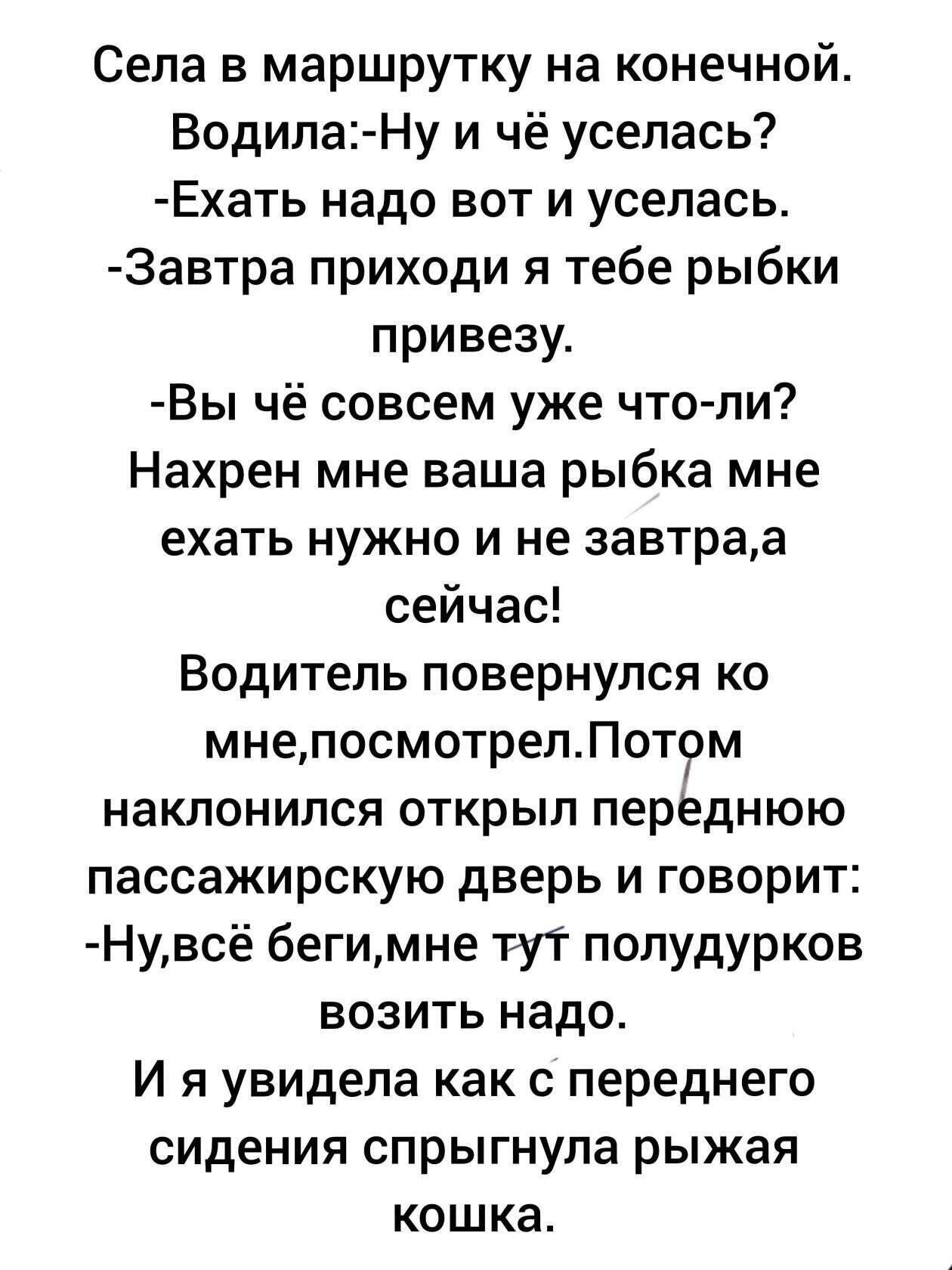 Села в маршрутку на конечной Водипа Ну и чё уселась Ехать надо вот и уселась Завтра приходи я тебе рыбки привезу Вы чё совсем уже что ли Нахрен мне ваша рыбка мне ехать нужно и не завтрва сейчас Водитель повернулся ко мнепосмотрелПотом наклонился открыл переднюю пассажирскую дверь и говорит Нувсе бегимне тут полудурков возить надо И я увидела как с переднего сидения спрыгнула рыжая кошка