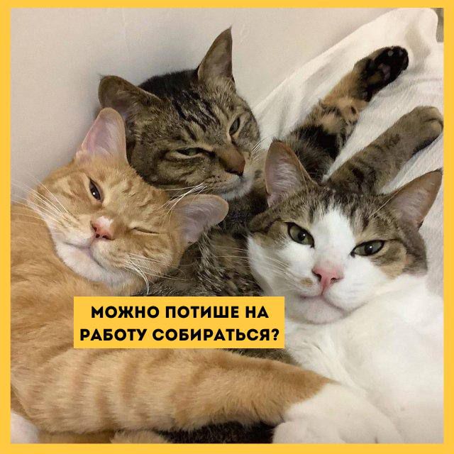 РАБОТУ СОБИРАТЬСЯ Р еа Ч одк а