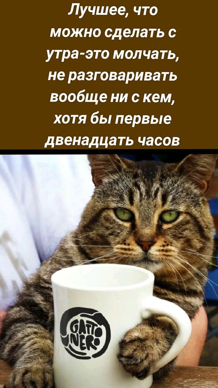 Лучшее что можно сделать с утра это молчать не разговаривать вообще ни с кем хотя бы первые двенадцать часов