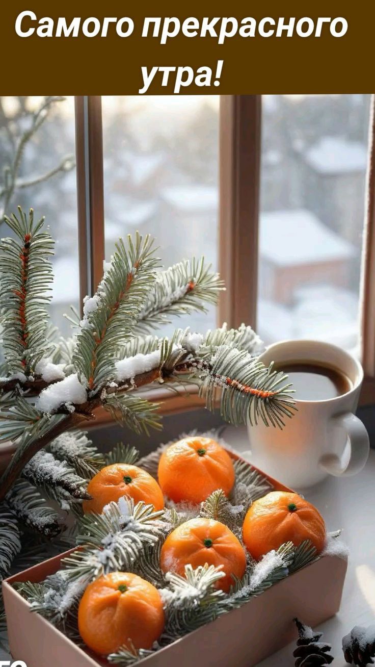Самого прекрасного