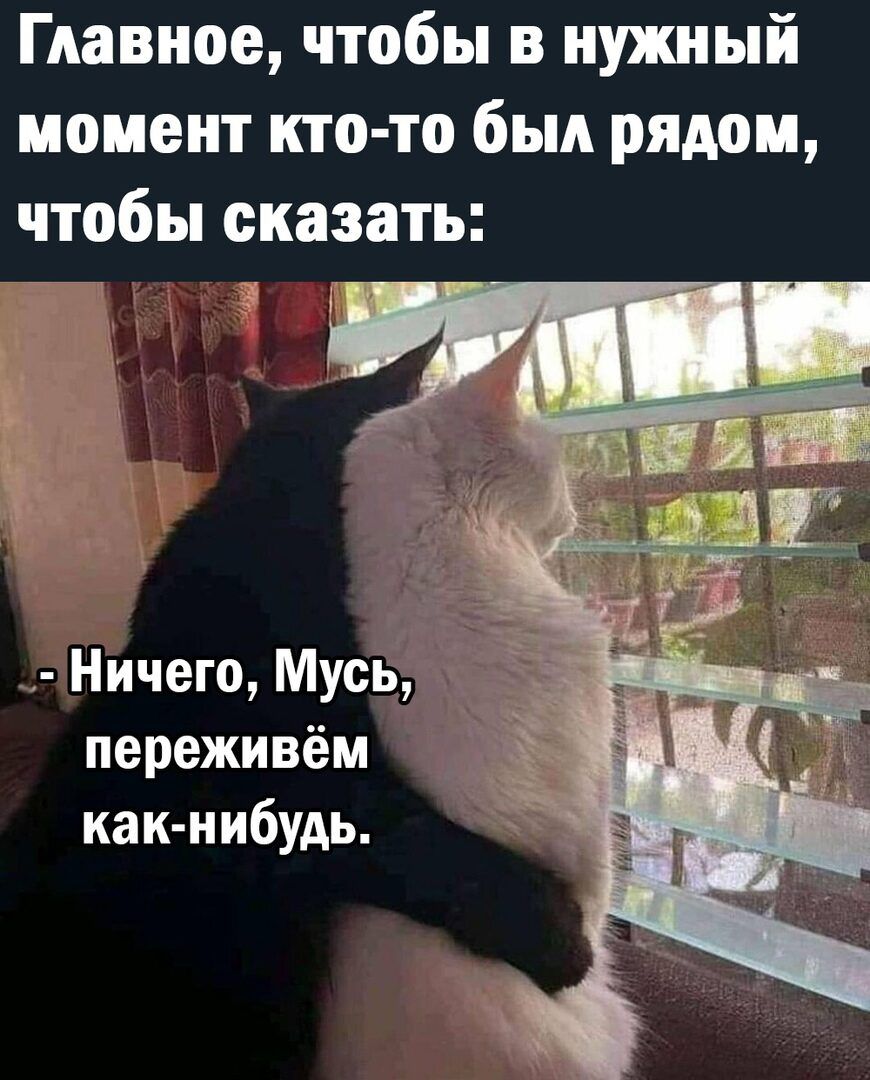 Главное чтобы в нужный момент кто то был рядом чтобы сказать _ Ничего Мусь переживём какнибудь