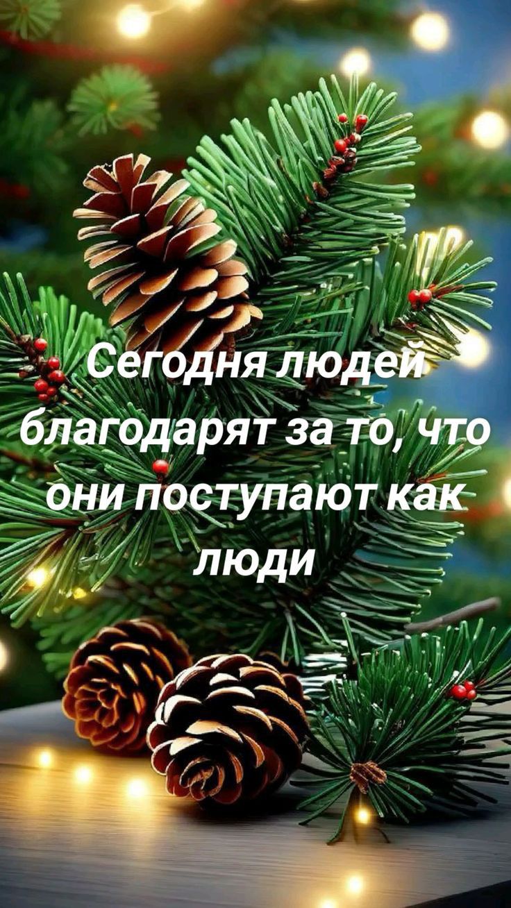 6 да го ёдарят з а _1 то 3 он поцгуп и а ю т М люд и
