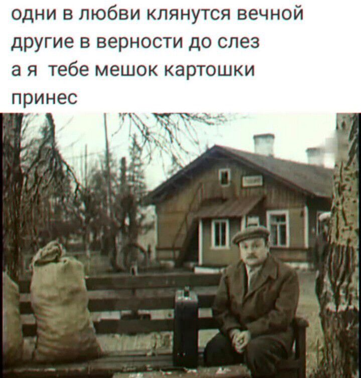 одни в любви клянутся вечной другие в верности до слез а я тебе мешок картошки принес