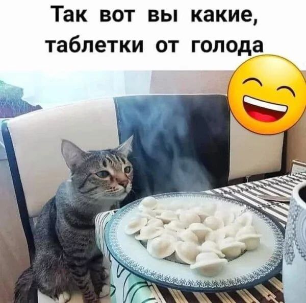 Так БОТ ВЫ какие таблетки ОТ голода