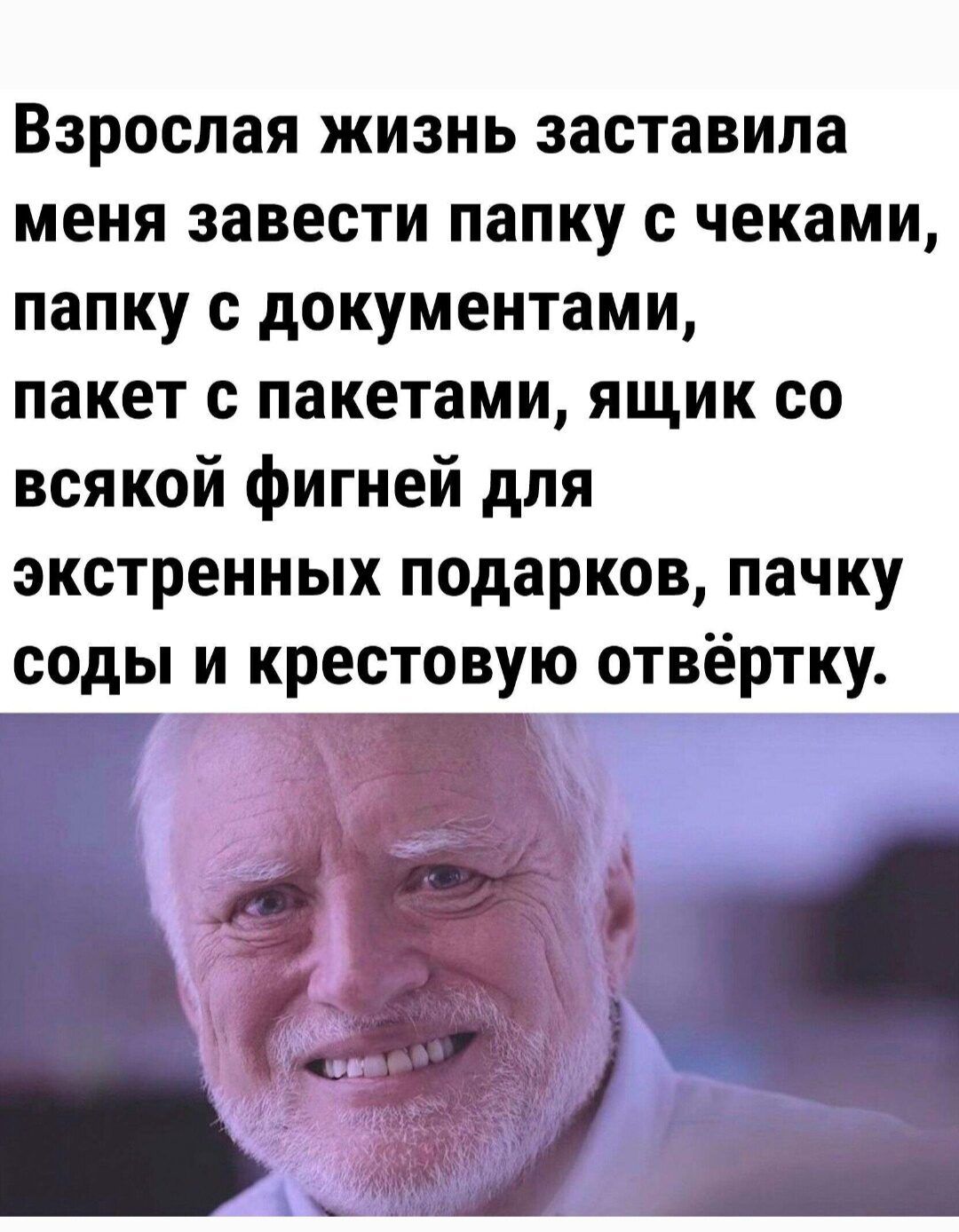Взрослая жизнь заставила меня завести папку чеками папку с документами пакет с пакетами ящик со всякой фигней для экстренных подарков пачку соды и крестовую отвёртку