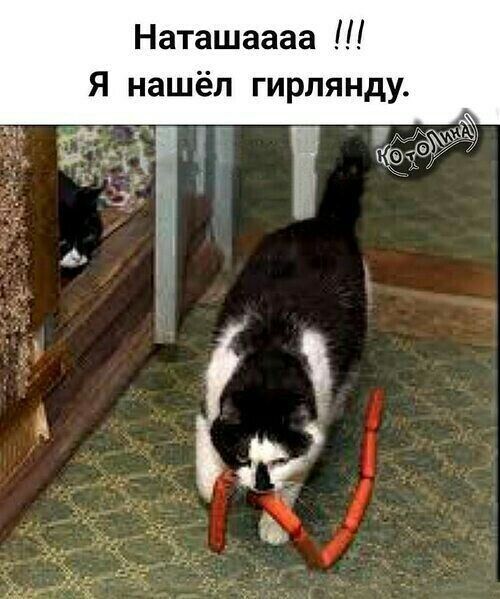 Наташаааа П Я нашёл гирлянд