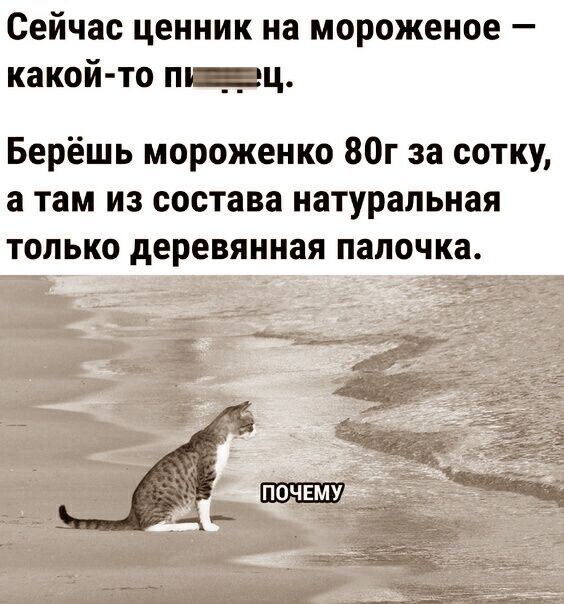 Сейчас ценник на мороженое какой то мг ц Берёшь мороженко 80г за сотку а там из состава натуральная только деревянная папочка