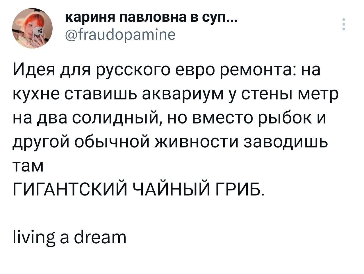 кариня павповиа в суп Тгаиооратіпе Идея для русского евро ремонта на КУХНЕ СТЗВИШЬ аквариум у СТЕНЫ метр На два СОПИДНЫЙ НО ВМеСТО рЫбОК И другой обычной живности заводишь там ГИГАНТСКИЙ ЧАЙНЫЙ ГРИБ іуіп3 а огеагп