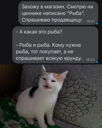 Захожу в магазин Смшрю на ценнике написано Рыба Спряшиваю продажі МШ шп _ Акакаяэюрыба Рыба и рыба Кому нужна рыба тат покупает а не спрашивает всякую ерунду шю _