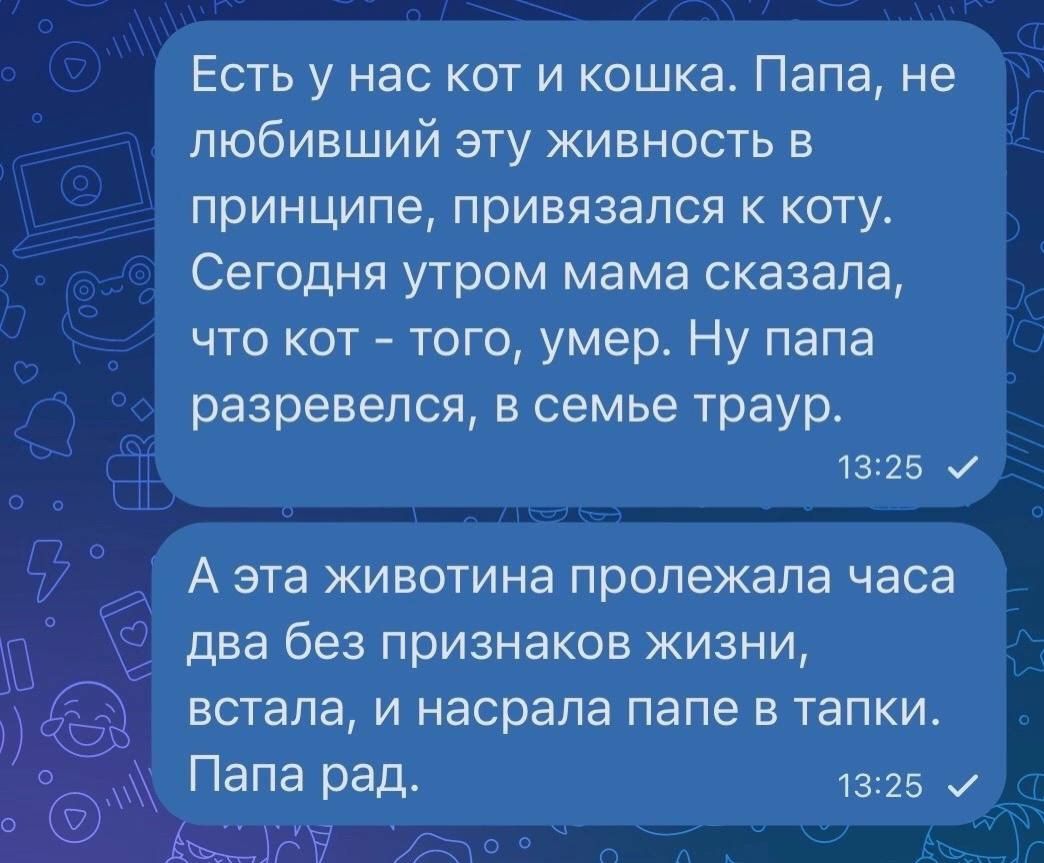 Есть у нас кот и кошка Папа не любивший эту живность в принципе привязался к коту Сегодня утром мама сказала что кот того умер Ну папа разревепся в семье траур 13 25 А эта животина пролежала часа два без признаков жизни встала И насрапа папе в тапки Папа Радь 13 15