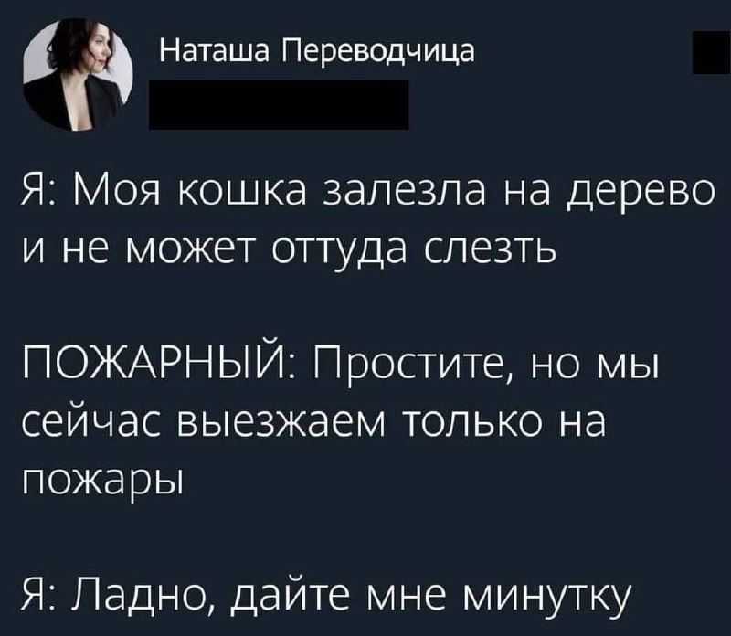 Наташа Переводчица Я Моя кошка залезла на дерево и не может оттуда слезть ПОЖАРНЫЙ Простите но мы сейчас выезжаем только на пожары Я Ладно дайте мне минутку