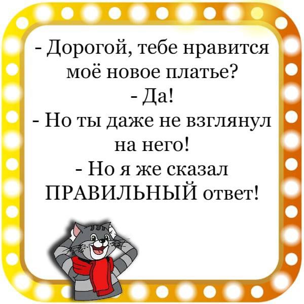 ВПТ Дорогой тебе нравится моё новое платье Да _ Но ты даже не взглянул на него Но я же сказал ПРАВИЛЬНЫИ ответ