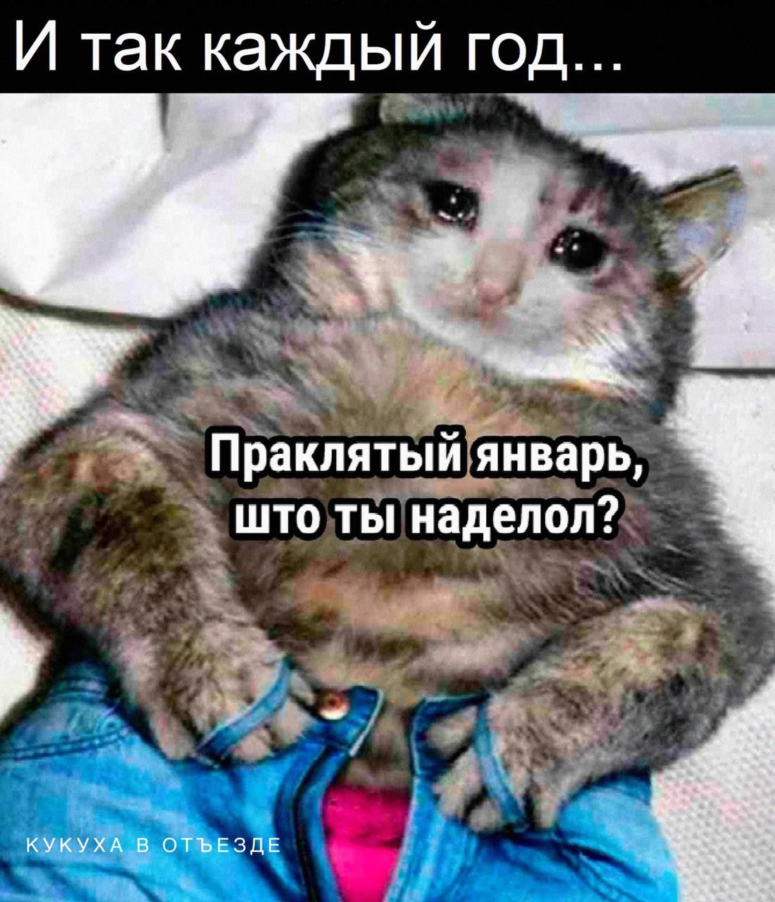И так каждый год у и Пракпятыищнварь 3 што ты наделал Ё а