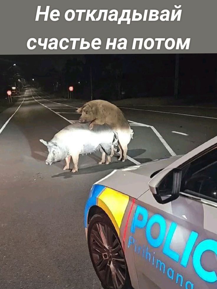 Не откладывай счастье на потом