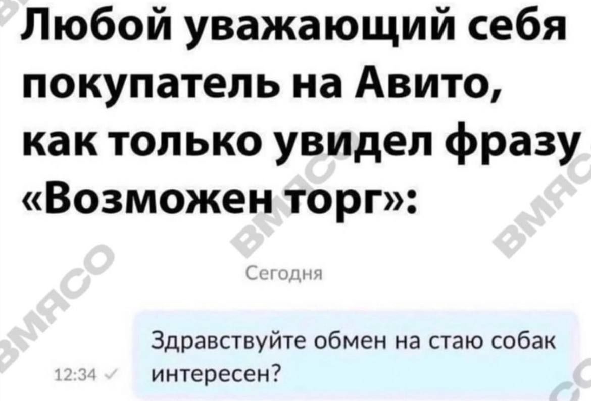Любой уважающий себя покупатель на Авито как только увидел фразу Возможен торг Здравствуйте обмен на стаю собак интересен
