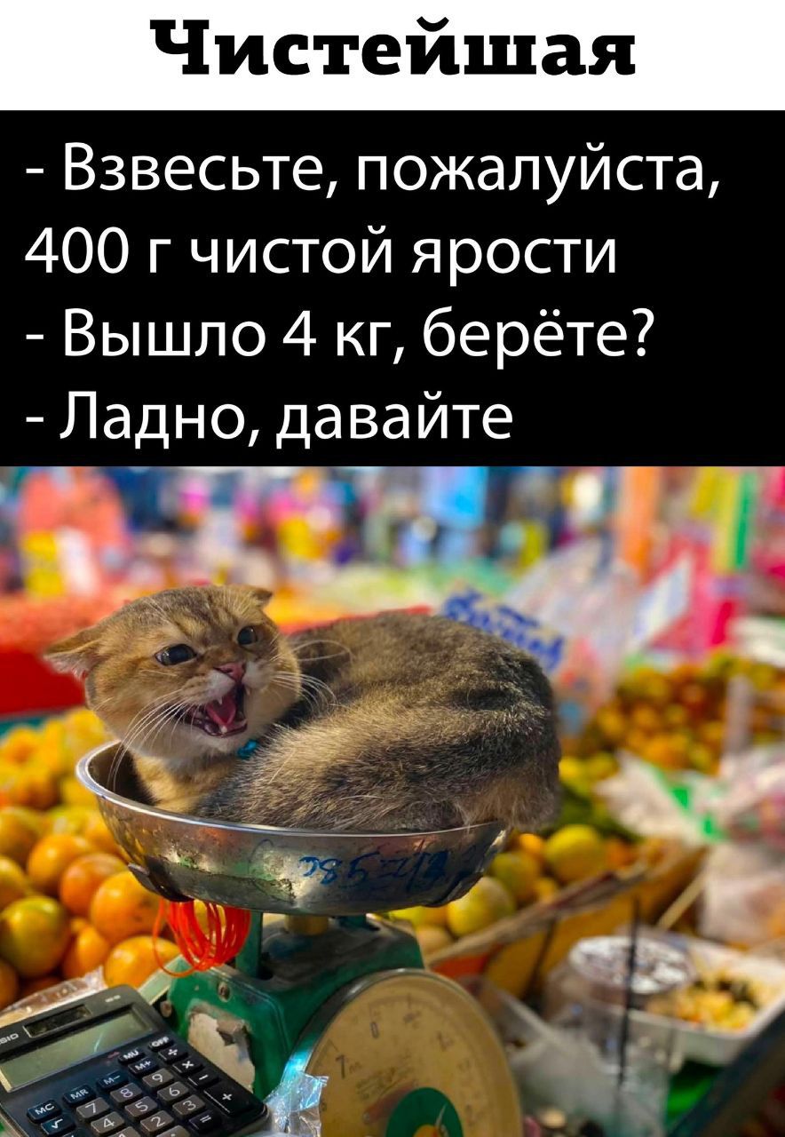 Взвесьте пожалуйста 400 г чистой ярости Вышло 4 кг берёте Ладно давайте