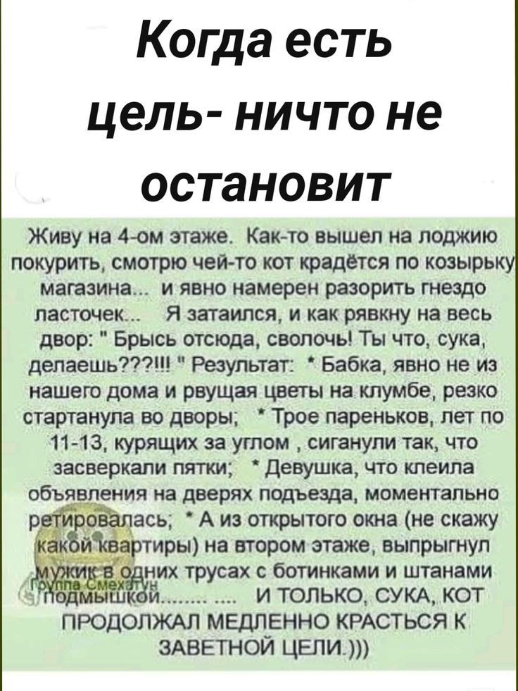 Когда есть цель ничто не остановит Живу на дом этаже Кано вышвл на лоджию покурить смотрю чей то квт крадется по козырьку машина и явно намерен разорить гнездо ласточек Я затаился и как рявкну на весь двор Брысь отсюда сволочь Ты что сука делать Результат Бабка явно не из нашего дома и рвущая цветы на тумбе резко стартанула во дворы Трое пареньков лет по 1143 курящих за утом ситнупи так что засвер