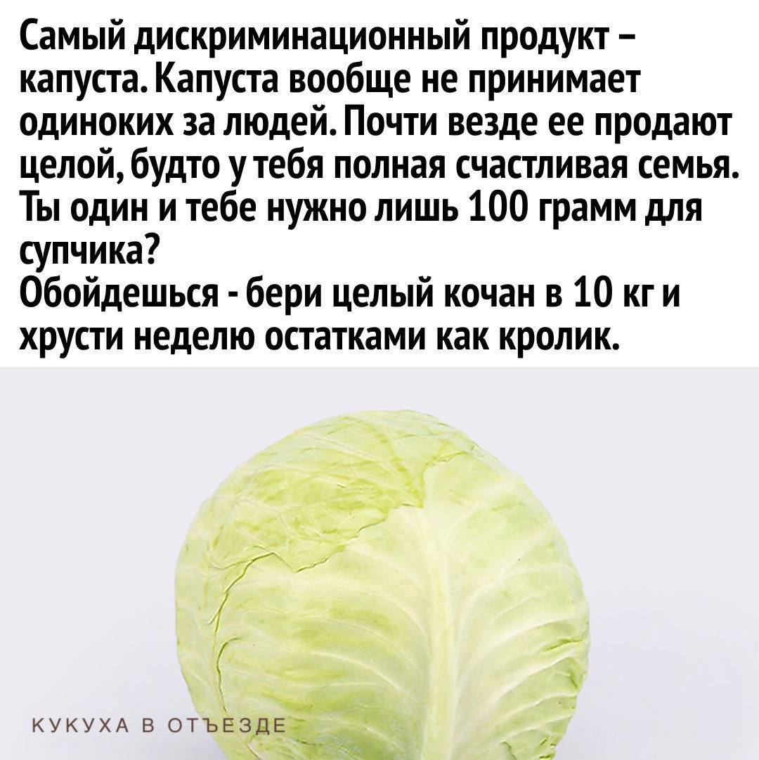 Самый дискриминационный продукт капуста Капуста вообще не принимает одиноких за людей Почти везде ее продают целой будто утебя полная счастливая семья Ты один и тебе нужно лишь 100 грамм для супчика обойдешься бери целый кочан в 10 кги хрусти неделю остатками как кролик