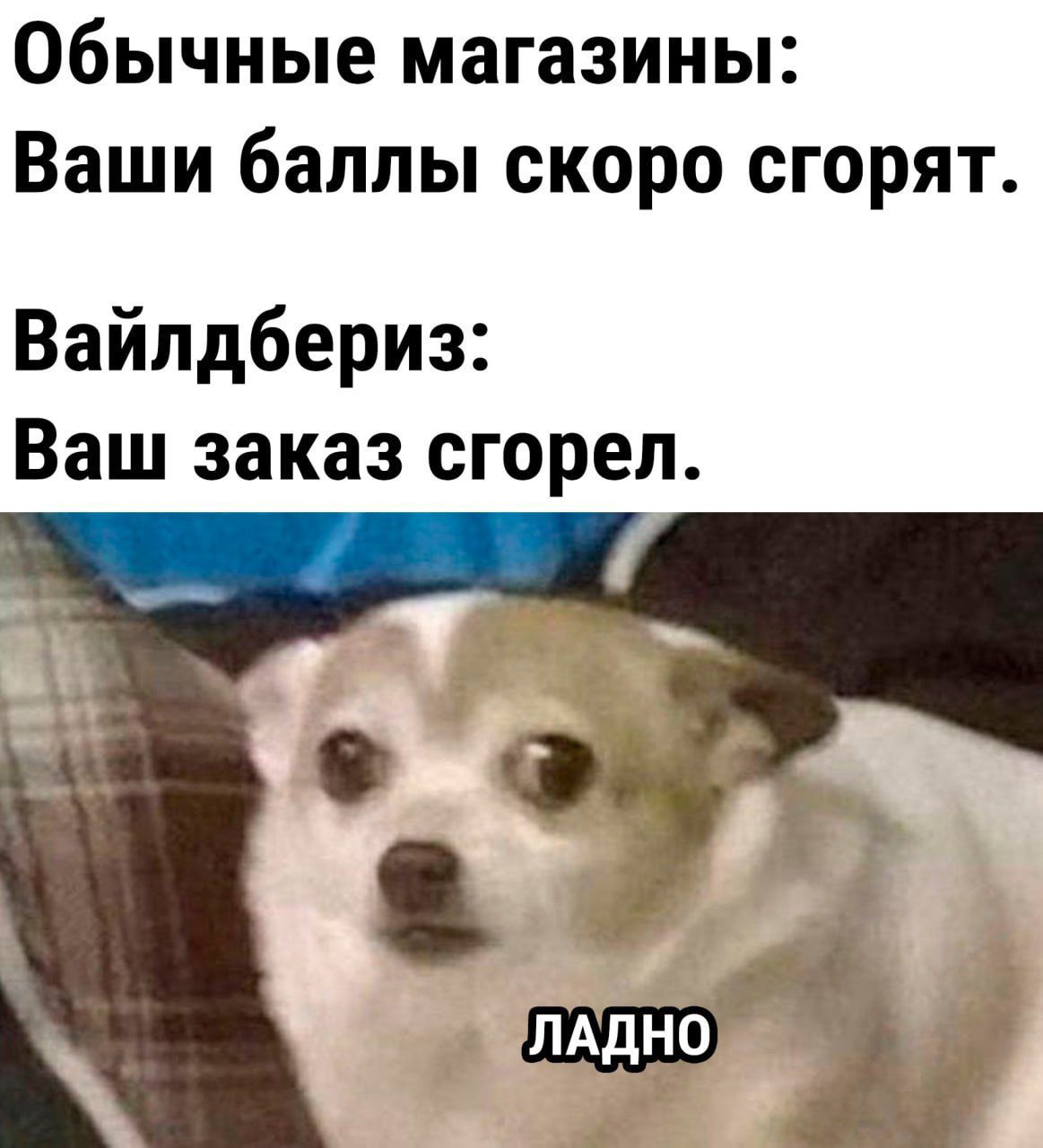 Обычные магазины Ваши баллы скоро сгорят Вайлдбериз Ваш заказ сгорел