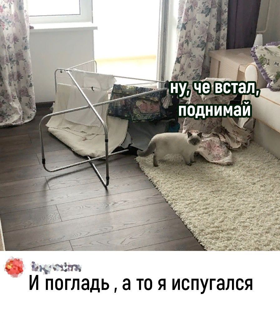 вышп И ППГЛЗДЬ а ТО Я испугался