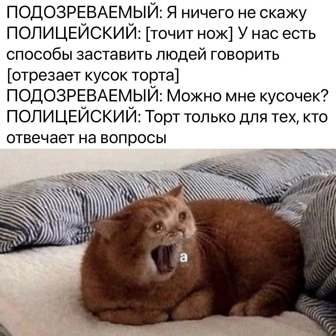 Отрубишь не приставишь скажешь