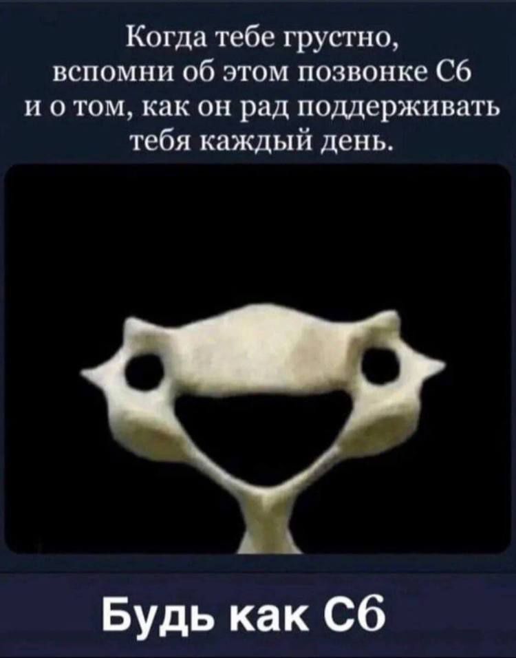 Когда тебе грустно вспомни об этом позвонке С6 и о том как он рад поддерживать тебя каждый день Будь как Сб