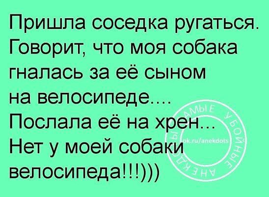 Пришла соседка ругаться Говорит что моя собака гнапась за её сыном на велосипеде Поспала её на хрен Нет у моей собаки велосипеда