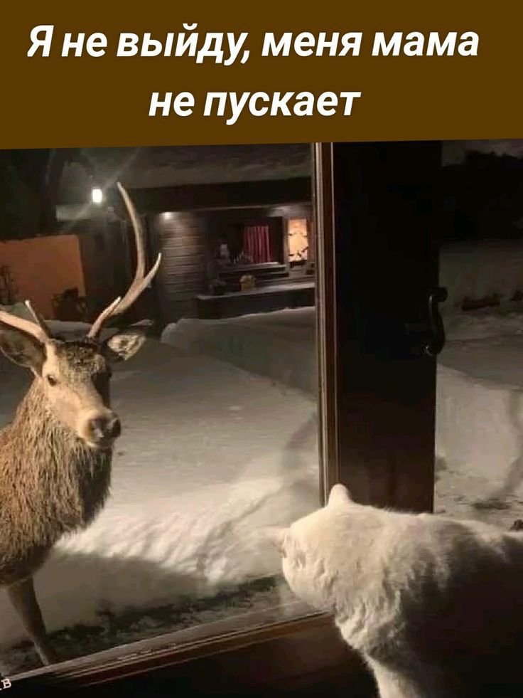 Я не выйду меня мама не пускает
