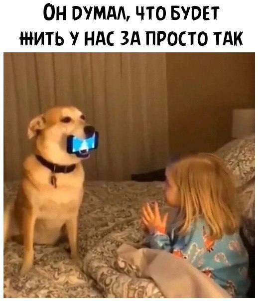 ОН МАШ ПО БЮЕТ ЖИТЬ НАС ЗА ПРОСТО ТАК